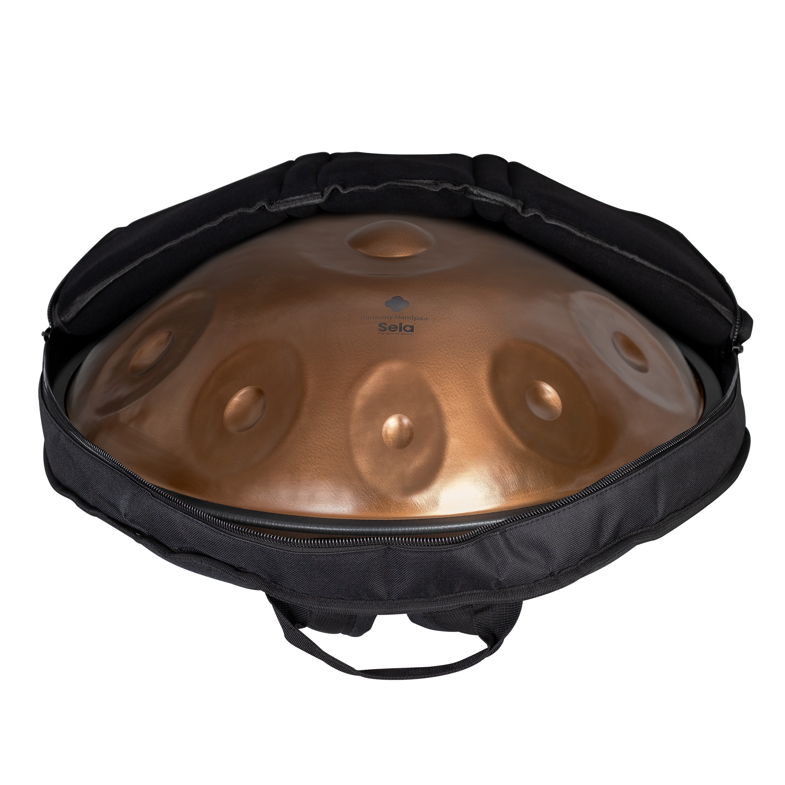 SE 320 Harmony Handpan Ember Steel D Kurd 10