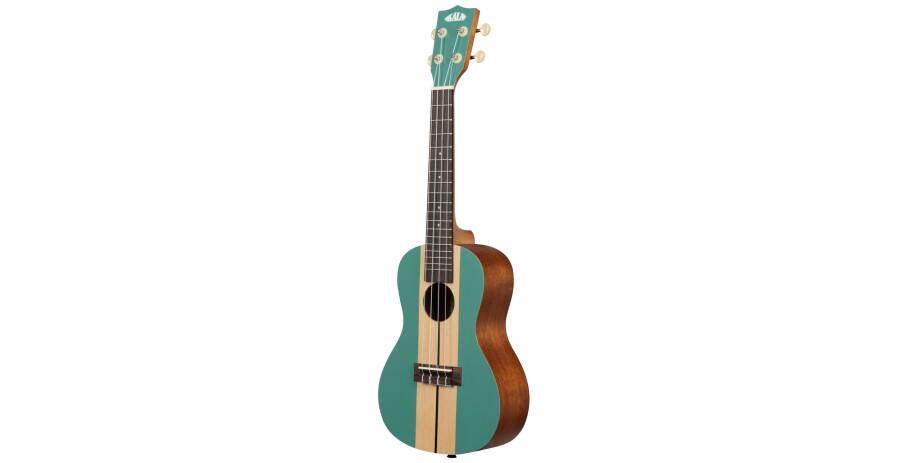 Surf Series Wipeout Concert Ukulele, with Bag (UB-C)