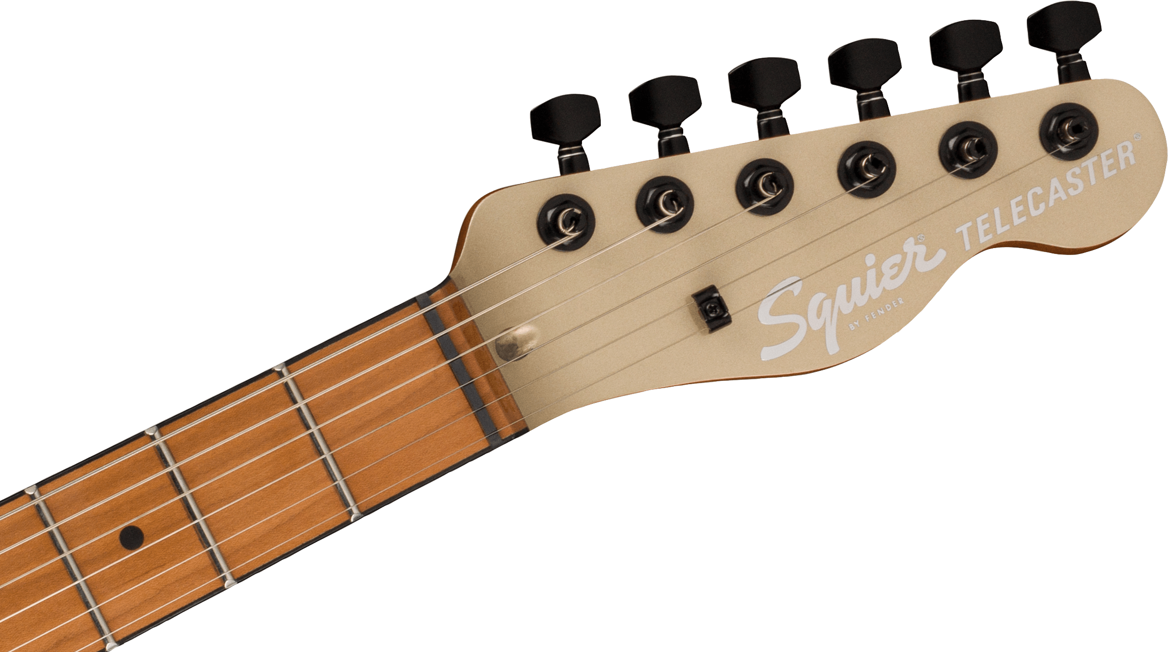 Contemporary Telecaster RH Roasted Maple Fingerboard, Shoreline Gold