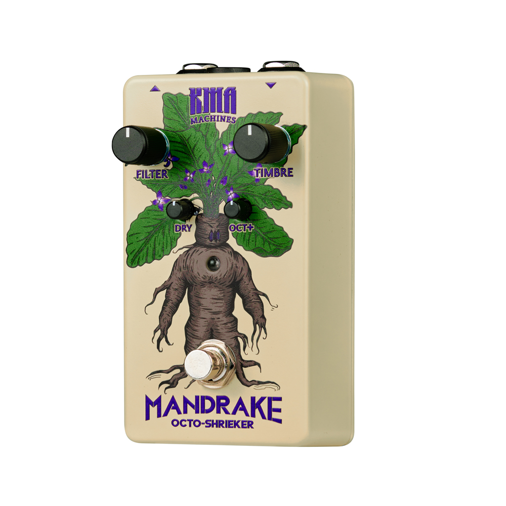 Mandrake