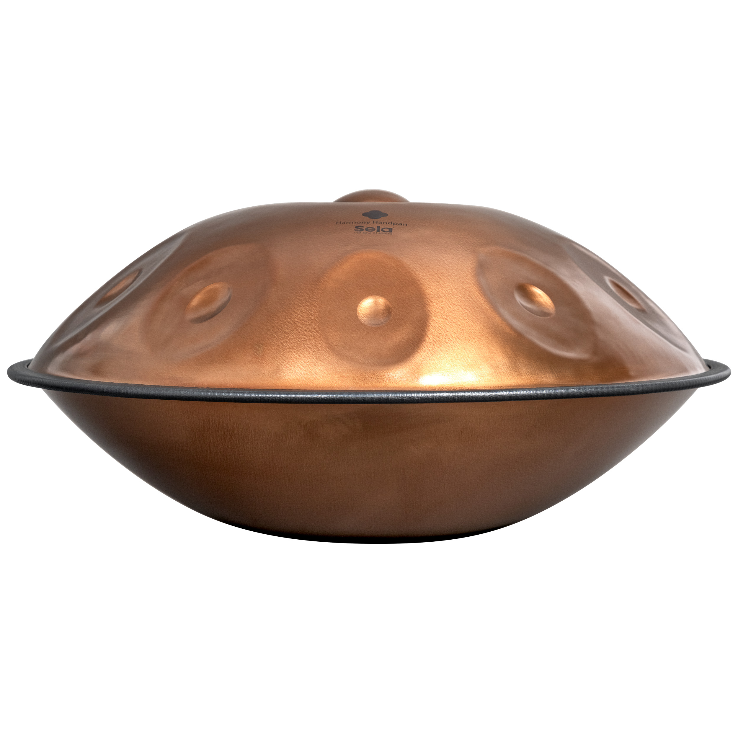 SE 320 Harmony Handpan Ember Steel D Kurd 10