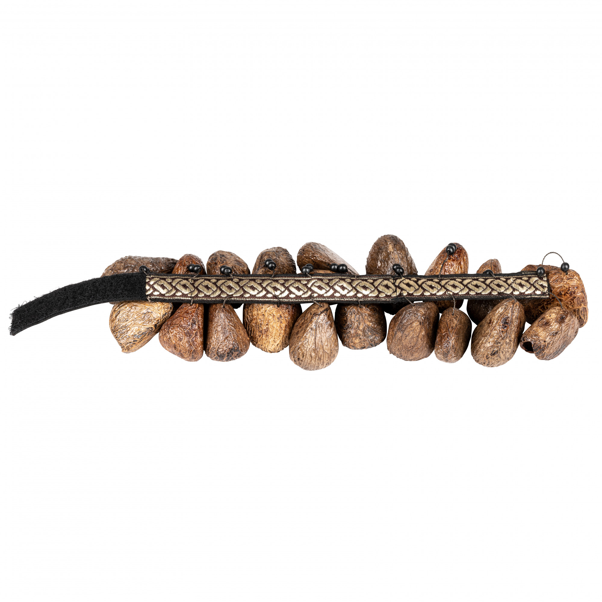 FR1P  Foot Rattle - Pangi Seeds