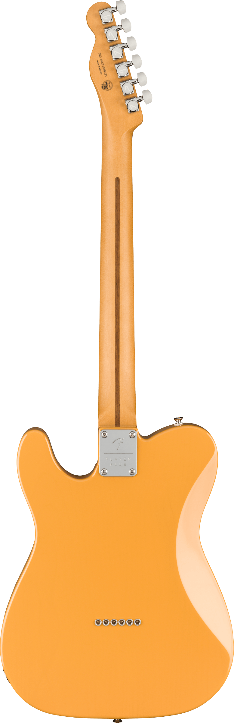 Player Plus Nashville Telecaster, MN, BTB