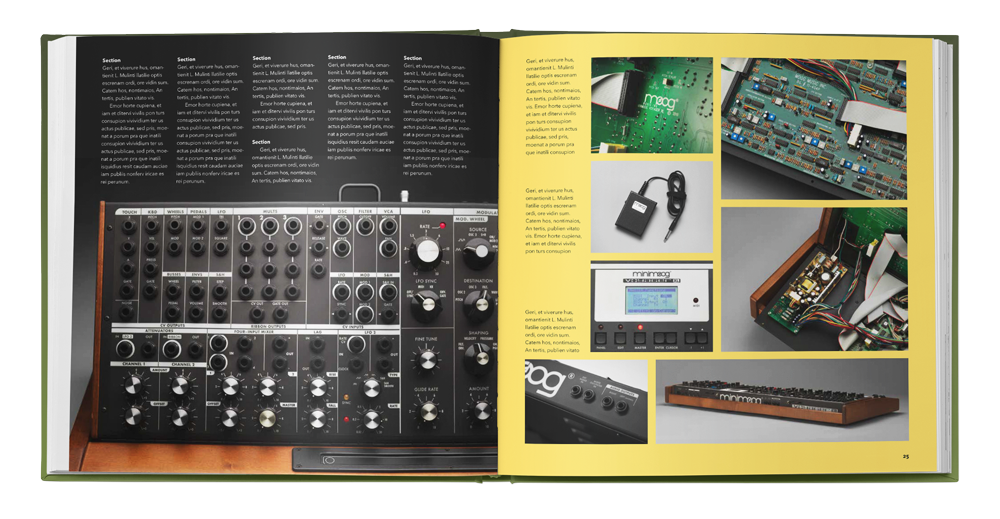 The Minimoog Book