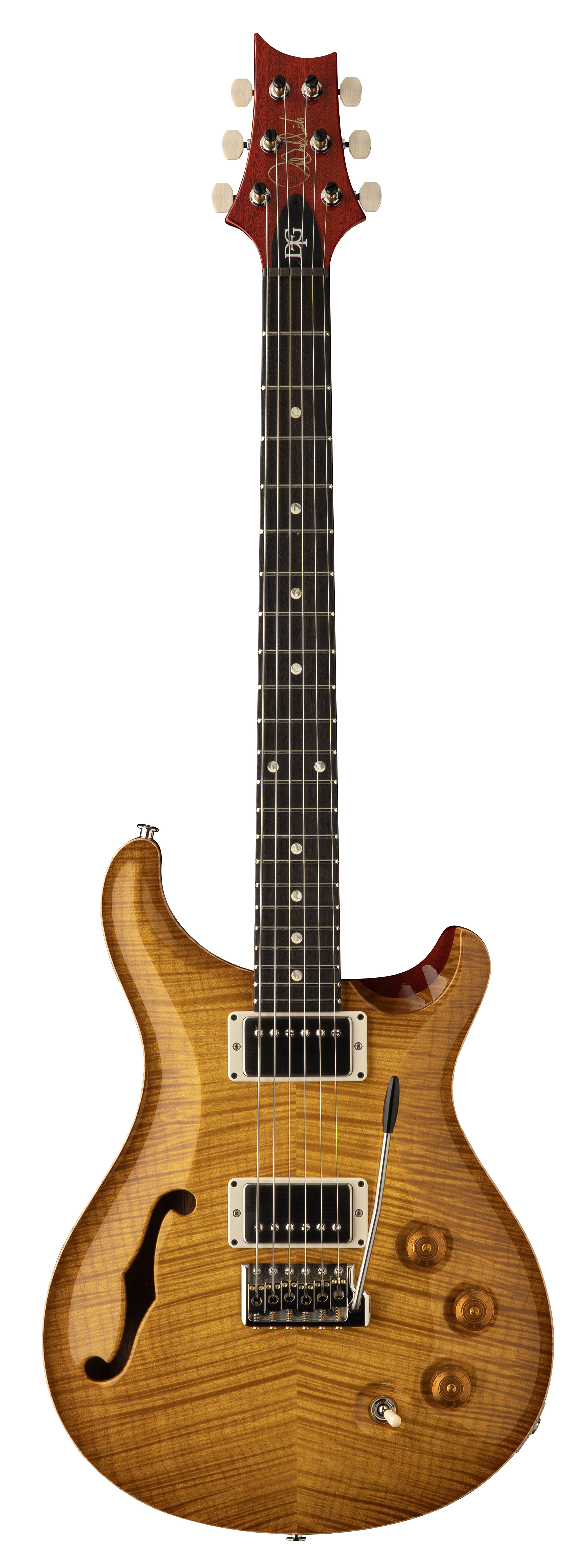 DGT Semi-Hollow Limited Edition