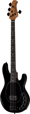 DarkRay Bass 4-String