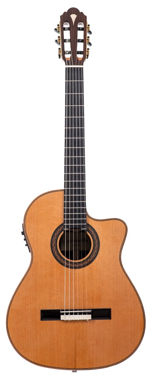 M 50 CE 12-Fret Zeder