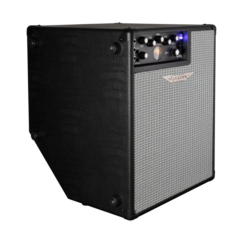 Origina EVO 300W Combo 1x12