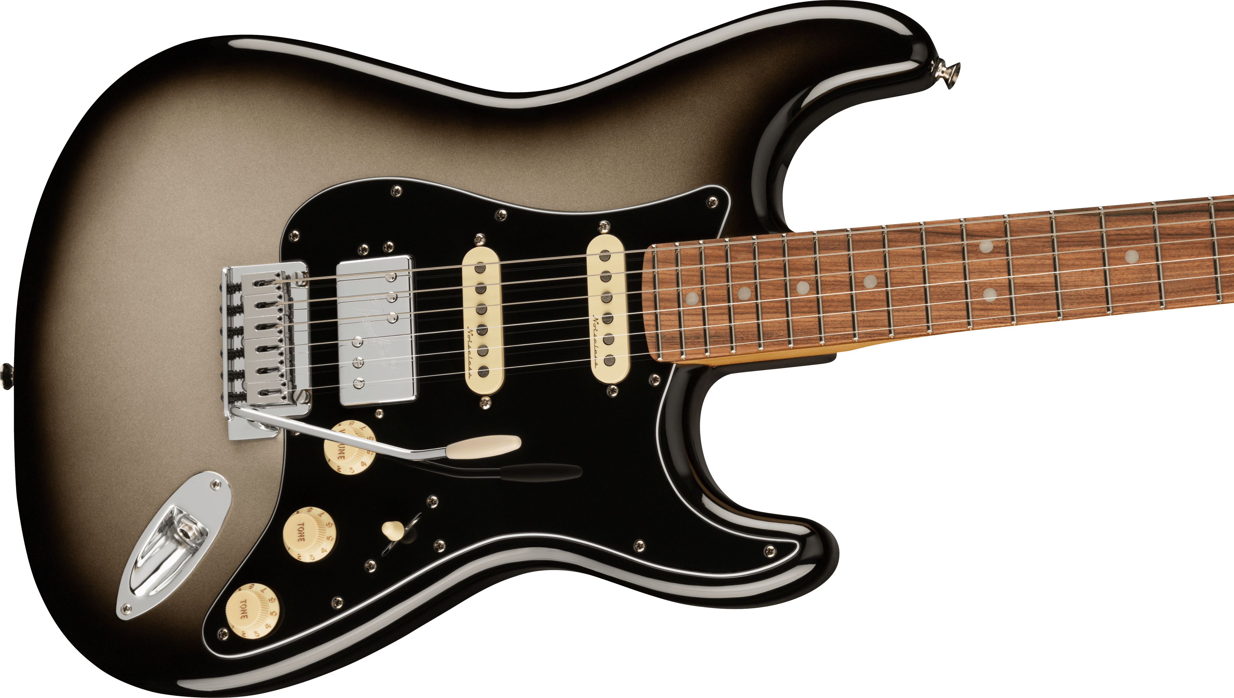 Player Plus Stratocaster HSS SVB Pau Ferro Fingerboard, Silverburst