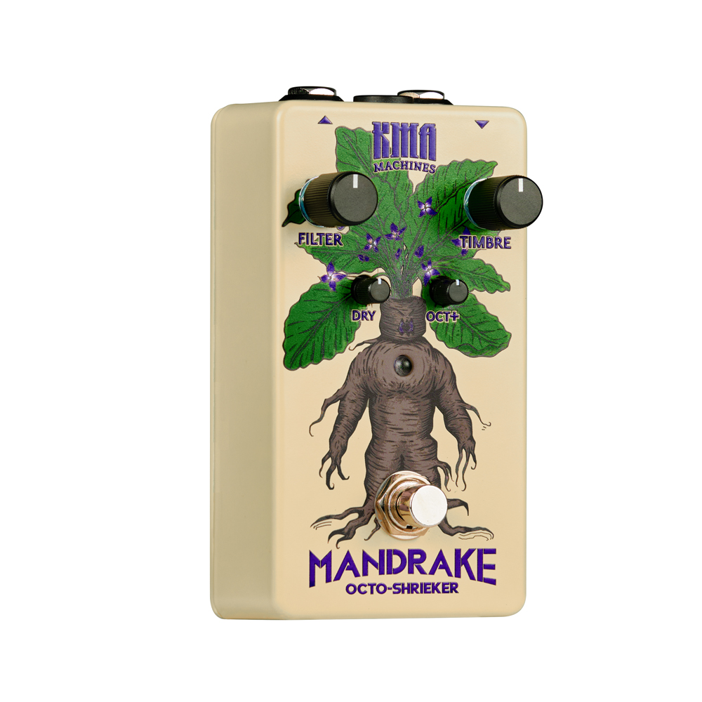 Mandrake