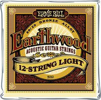 Earthwood Bronze Light 12-String 009