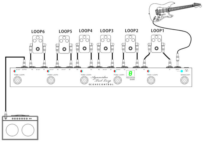 Agamidae Tail Loop Programmable 6-Channel Loop Switcher