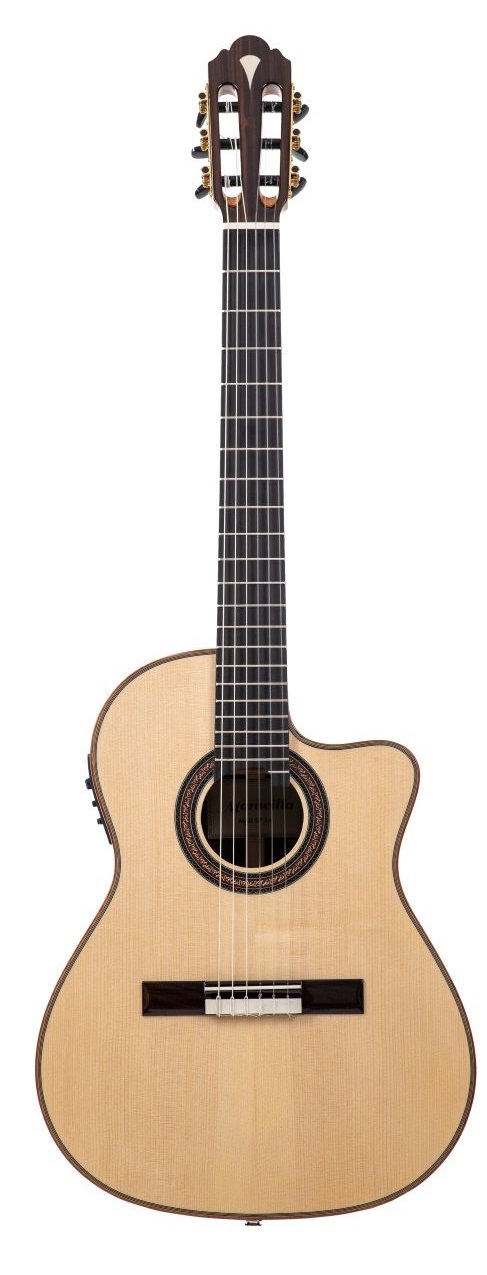 M 50 CE 14-Fret Fichte